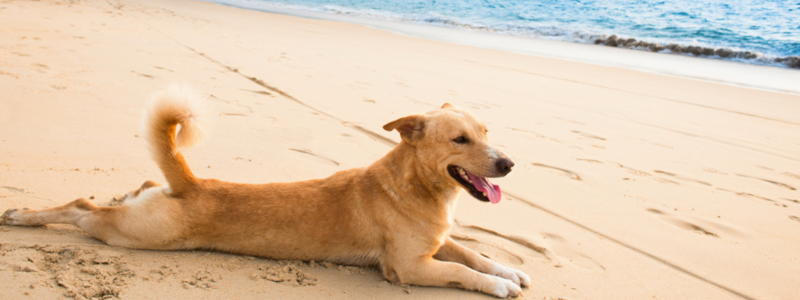 Bootstrap Touch Slider